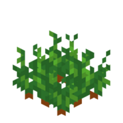 Рост моркови 3.png